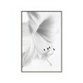 Picture of White Floral Hues _GroupedProduct_Rectangle_Portrait_Photography _GroupedProduct_Rectangle_Portrait_Canvas_Framed_