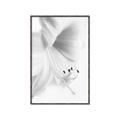 Picture of White Floral Hues _GroupedProduct_Rectangle_Portrait_Photography _GroupedProduct_Rectangle_Portrait_Canvas_Framed_