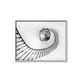 Picture of La Escalera _GroupedProduct_Rectangle_Landscape_Photography _GroupedProduct_Rectangle_Landscape_Canvas_Framed_