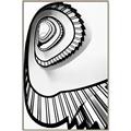 Picture of The Spiral _GroupedProduct_Rectangle_Portrait_Photography _GroupedProduct_Rectangle_Portrait_Canvas_Framed_