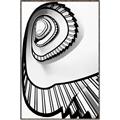 Picture of The Spiral _GroupedProduct_Rectangle_Portrait_Photography _GroupedProduct_Rectangle_Portrait_Canvas_Framed_
