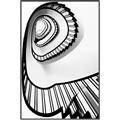 Picture of The Spiral _GroupedProduct_Rectangle_Portrait_Photography _GroupedProduct_Rectangle_Portrait_Canvas_Framed_