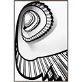 Picture of The Spiral _GroupedProduct_Rectangle_Portrait_Photography _GroupedProduct_Rectangle_Portrait_Canvas_Framed_
