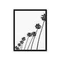 Picture of Cali Cathedrals IV _GroupedProduct_Rectangle_Portrait_Photography _GroupedProduct_Rectangle_Portrait_Framed_Matted_
