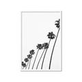 Picture of Cali Cathedrals IV _GroupedProduct_Rectangle_Portrait_Photography _GroupedProduct_Rectangle_Portrait_Framed_Matted_