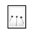 Picture of Cali Cathedrals III _GroupedProduct_Rectangle_Portrait_Photography _GroupedProduct_Rectangle_Portrait_Framed_Matted_