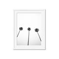 Picture of Cali Cathedrals III _GroupedProduct_Rectangle_Portrait_Photography _GroupedProduct_Rectangle_Portrait_Framed_Matted_