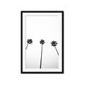 Picture of Cali Cathedrals III _GroupedProduct_Rectangle_Portrait_Photography _GroupedProduct_Rectangle_Portrait_Framed_Matted_