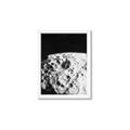 Picture of Moon Landing _GroupedProduct_Rectangle_Portrait_Photography _GroupedProduct_Rectangle_Portrait_Framed_Matted_
