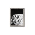 Picture of Moon Landing _GroupedProduct_Rectangle_Portrait_Photography _GroupedProduct_Rectangle_Portrait_Framed_Matted_