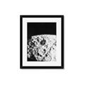 Picture of Moon Landing _GroupedProduct_Rectangle_Portrait_Photography _GroupedProduct_Rectangle_Portrait_Framed_Matted_