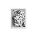 Picture of The Flowers He Gave _GroupedProduct_Rectangle_Portrait_Photography _GroupedProduct_Rectangle_Portrait_Framed_Matted_
