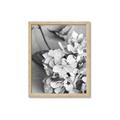 Picture of The Flowers He Gave _GroupedProduct_Rectangle_Portrait_Photography _GroupedProduct_Rectangle_Portrait_Framed_Matted_