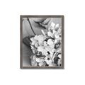 Picture of The Flowers He Gave _GroupedProduct_Rectangle_Portrait_Photography _GroupedProduct_Rectangle_Portrait_Framed_Matted_