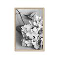 Picture of The Flowers He Gave _GroupedProduct_Rectangle_Portrait_Photography _GroupedProduct_Rectangle_Portrait_Framed_Matted_