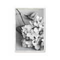 Picture of The Flowers He Gave _GroupedProduct_Rectangle_Portrait_Photography _GroupedProduct_Rectangle_Portrait_Framed_Matted_
