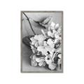 Picture of The Flowers He Gave _GroupedProduct_Rectangle_Portrait_Photography _GroupedProduct_Rectangle_Portrait_Framed_Matted_