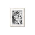 Picture of The Flowers He Gave _GroupedProduct_Rectangle_Portrait_Photography _GroupedProduct_Rectangle_Portrait_Framed_Matted_