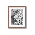 Picture of The Flowers He Gave _GroupedProduct_Rectangle_Portrait_Photography _GroupedProduct_Rectangle_Portrait_Framed_Matted_