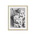 Picture of The Flowers He Gave _GroupedProduct_Rectangle_Portrait_Photography _GroupedProduct_Rectangle_Portrait_Framed_Matted_