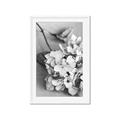 Picture of The Flowers He Gave _GroupedProduct_Rectangle_Portrait_Photography _GroupedProduct_Rectangle_Portrait_Framed_Matted_