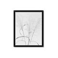Picture of Whispering Mirage Dried Grass _GroupedProduct_Rectangle_Portrait_Photography _GroupedProduct_Rectangle_Portrait_Framed_Matted_