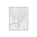 Picture of Whispering Mirage Dried Grass _GroupedProduct_Rectangle_Portrait_Photography _GroupedProduct_Rectangle_Portrait_Framed_Matted_