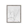 Picture of Whispering Mirage Dried Grass _GroupedProduct_Rectangle_Portrait_Photography _GroupedProduct_Rectangle_Portrait_Framed_Matted_