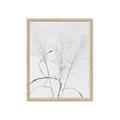 Picture of Whispering Mirage Dried Grass _GroupedProduct_Rectangle_Portrait_Photography _GroupedProduct_Rectangle_Portrait_Framed_Matted_