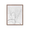 Picture of Whispering Mirage Dried Grass _GroupedProduct_Rectangle_Portrait_Photography _GroupedProduct_Rectangle_Portrait_Framed_Matted_