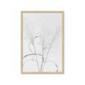 Picture of Whispering Mirage Dried Grass _GroupedProduct_Rectangle_Portrait_Photography _GroupedProduct_Rectangle_Portrait_Framed_Matted_