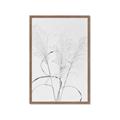 Picture of Whispering Mirage Dried Grass _GroupedProduct_Rectangle_Portrait_Photography _GroupedProduct_Rectangle_Portrait_Framed_Matted_