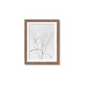 Picture of Whispering Mirage Dried Grass _GroupedProduct_Rectangle_Portrait_Photography _GroupedProduct_Rectangle_Portrait_Framed_Matted_