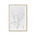 Picture of Whispering Mirage Dried Grass _GroupedProduct_Rectangle_Portrait_Photography _GroupedProduct_Rectangle_Portrait_Framed_Matted_