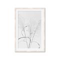 Picture of Whispering Mirage Dried Grass _GroupedProduct_Rectangle_Portrait_Photography _GroupedProduct_Rectangle_Portrait_Framed_Matted_