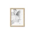 Picture of White Floral Hues _GroupedProduct_Rectangle_Portrait_Photography _GroupedProduct_Rectangle_Portrait_Framed_Matted_