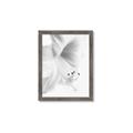 Picture of White Floral Hues _GroupedProduct_Rectangle_Portrait_Photography _GroupedProduct_Rectangle_Portrait_Framed_Matted_