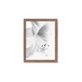 Picture of White Floral Hues _GroupedProduct_Rectangle_Portrait_Photography _GroupedProduct_Rectangle_Portrait_Framed_Matted_