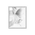 Picture of White Floral Hues _GroupedProduct_Rectangle_Portrait_Photography _GroupedProduct_Rectangle_Portrait_Framed_Matted_