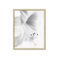 Picture of White Floral Hues _GroupedProduct_Rectangle_Portrait_Photography _GroupedProduct_Rectangle_Portrait_Framed_Matted_