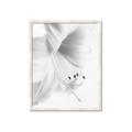 Picture of White Floral Hues _GroupedProduct_Rectangle_Portrait_Photography _GroupedProduct_Rectangle_Portrait_Framed_Matted_