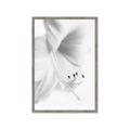 Picture of White Floral Hues _GroupedProduct_Rectangle_Portrait_Photography _GroupedProduct_Rectangle_Portrait_Framed_Matted_