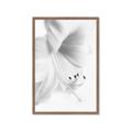 Picture of White Floral Hues _GroupedProduct_Rectangle_Portrait_Photography _GroupedProduct_Rectangle_Portrait_Framed_Matted_