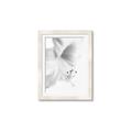 Picture of White Floral Hues _GroupedProduct_Rectangle_Portrait_Photography _GroupedProduct_Rectangle_Portrait_Framed_Matted_