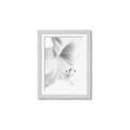 Picture of White Floral Hues _GroupedProduct_Rectangle_Portrait_Photography _GroupedProduct_Rectangle_Portrait_Framed_Matted_