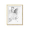 Picture of White Floral Hues _GroupedProduct_Rectangle_Portrait_Photography _GroupedProduct_Rectangle_Portrait_Framed_Matted_