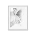 Picture of White Floral Hues _GroupedProduct_Rectangle_Portrait_Photography _GroupedProduct_Rectangle_Portrait_Framed_Matted_
