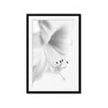Picture of White Floral Hues _GroupedProduct_Rectangle_Portrait_Photography _GroupedProduct_Rectangle_Portrait_Framed_Matted_