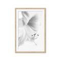 Picture of White Floral Hues _GroupedProduct_Rectangle_Portrait_Photography _GroupedProduct_Rectangle_Portrait_Framed_Matted_