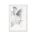 Picture of White Floral Hues _GroupedProduct_Rectangle_Portrait_Photography _GroupedProduct_Rectangle_Portrait_Framed_Matted_